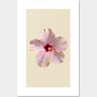 Hibiscus with Dark Pink Center Posters and Art